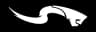Stretch Punch icon