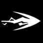 Bionic Hook icon