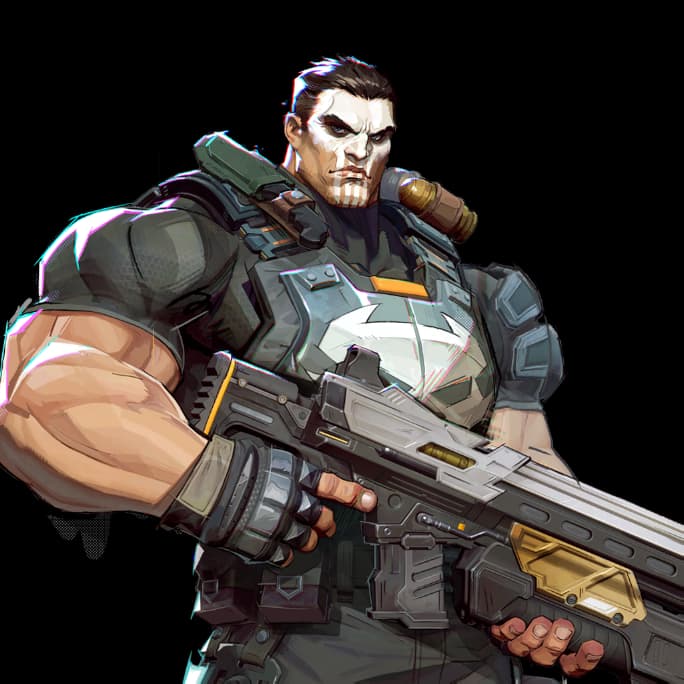 The Punisher portrait