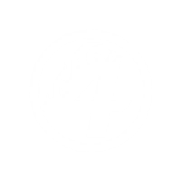 Human Torch logo